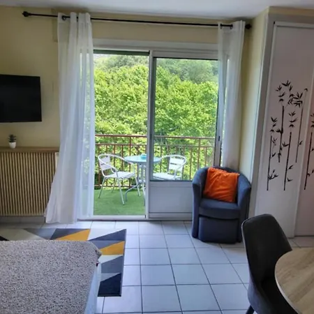 Climatise A 50 M Des Thermes Amelie-les-Bains-Palalda