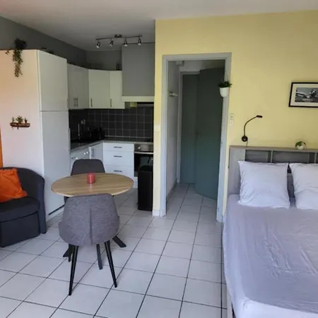 Climatise A 50 M Des Thermes Apartment Amelie-les-Bains-Palalda