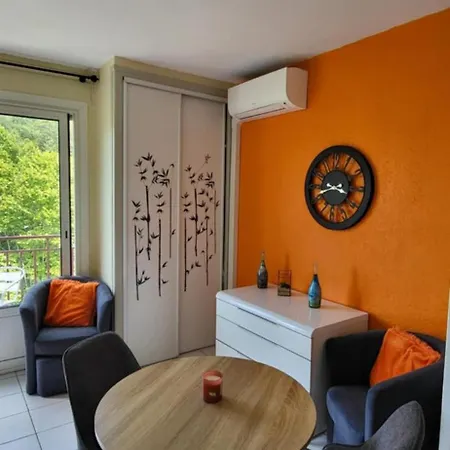 Climatise A 50 M Des Thermes Amelie-les-Bains-Palalda