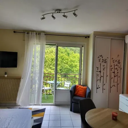 Climatise A 50 M Des Thermes Apartment